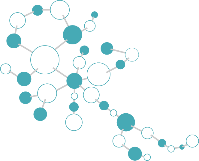 Chemical formula4